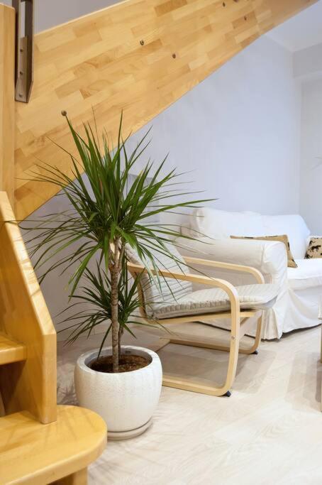 Apartment Seagull Luxury Maisonette *